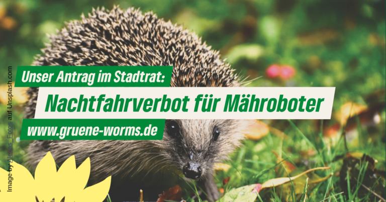 Unser Antrag für die nächste Stadtratssitzung: Nachtverbot für Mähroboter